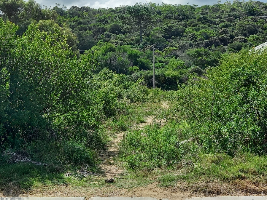 0 Bedroom Property for Sale in Kleinkrantz Western Cape